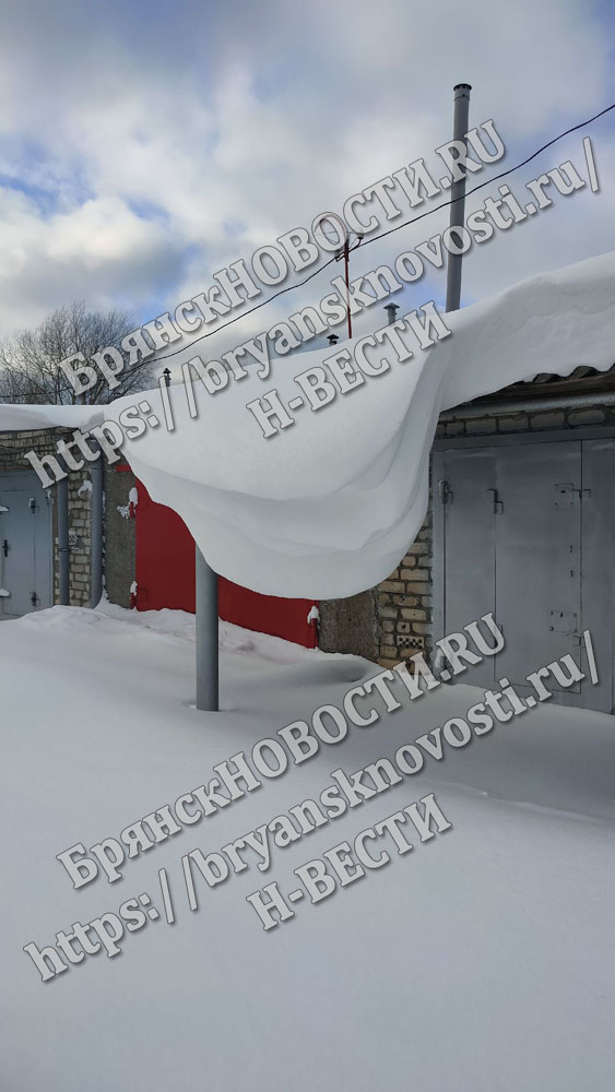 Мокрый снег, гололедица, порывы ветра 15-20 м/с в Брянской области