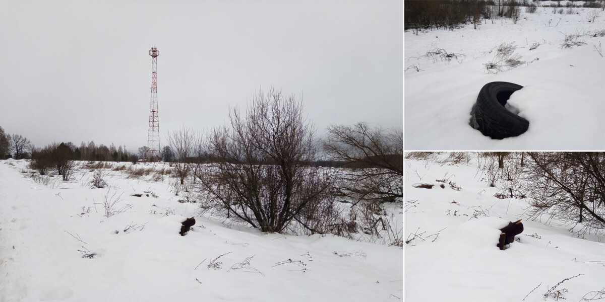 До весны еще далеко, но внезапная оттепель обнажила “подснежники” на муниципальных дорогах Брянской области