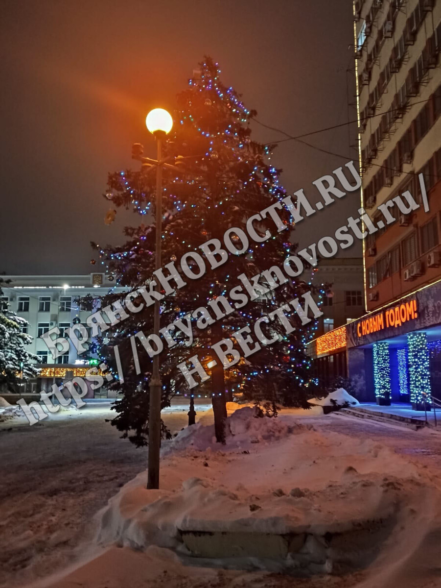 Аферистка из Брянска обманула проживающую с ней в одном районе города  покупательницу телефона • БрянскНОВОСТИ.RU