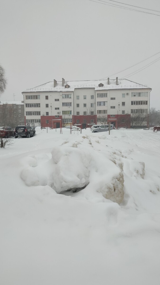 Из-за ухудшения погоды школы рекомендовано перевести на дистанционку в Брянской  области | 14.12.2023 | Брянск - БезФормата