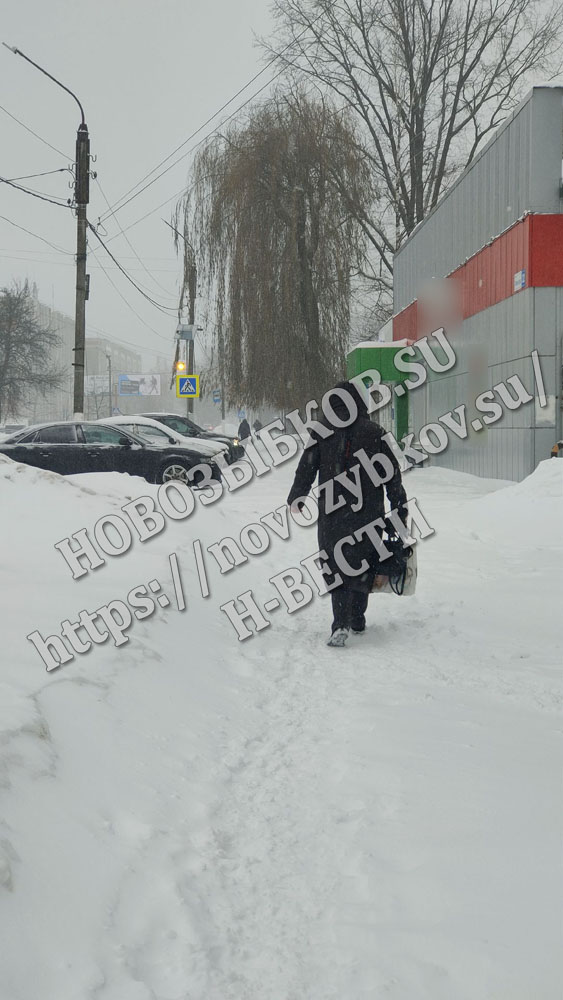 В Новозыбкове собака напала на женщину