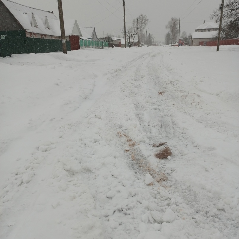 На засыпанные снегом дороги Навли быстро отреагировала местная прокуратура