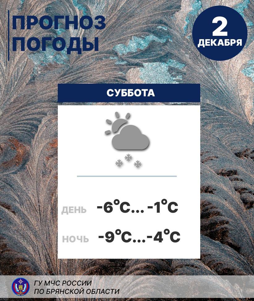 В Брянской области ночью температура воздуха опустится до минус 9ºC
