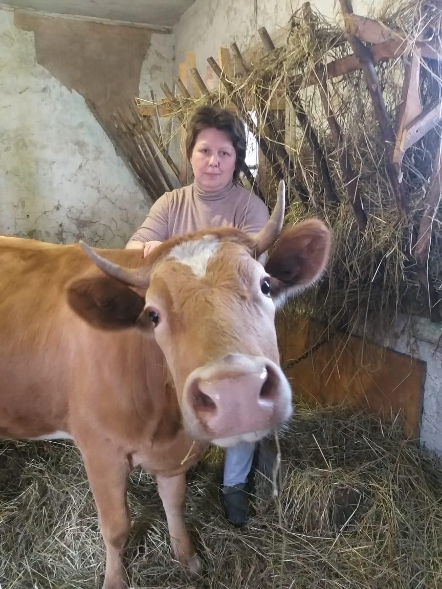 Многодетной маме из Брянской области помогли приобрести корову
