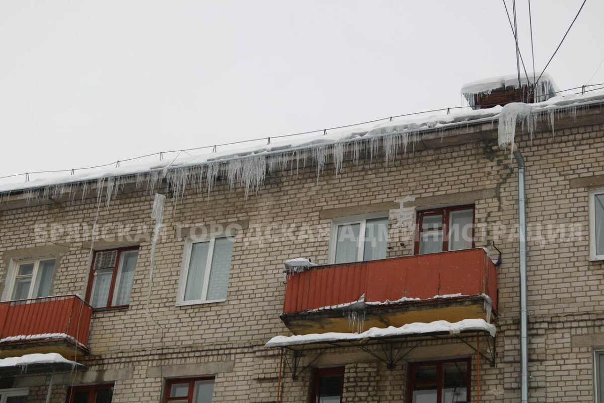 В Брянске начали проверку после падения наледи на голову прохожего •  БрянскНОВОСТИ.RU