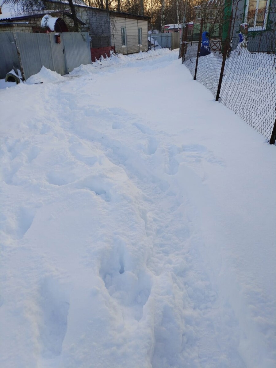 В Новозыбкове жители проезда Мичурина поблагодарили за почищенные дороги