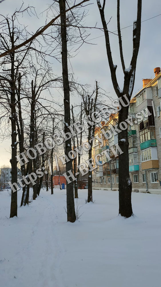 Зять поднял руку на тещу в Новозыбкове