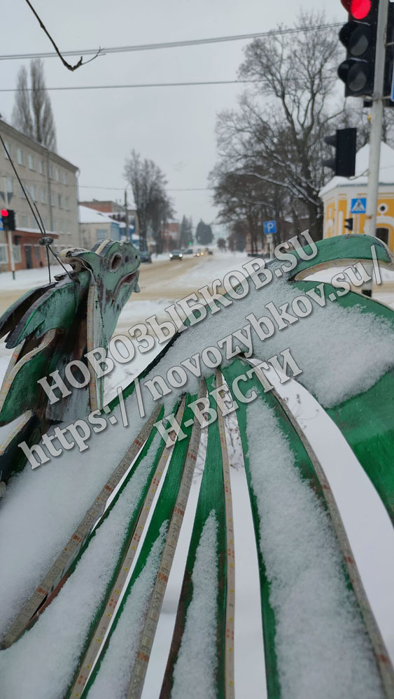 Старый Новый год отметили в Новозыбкове энергично