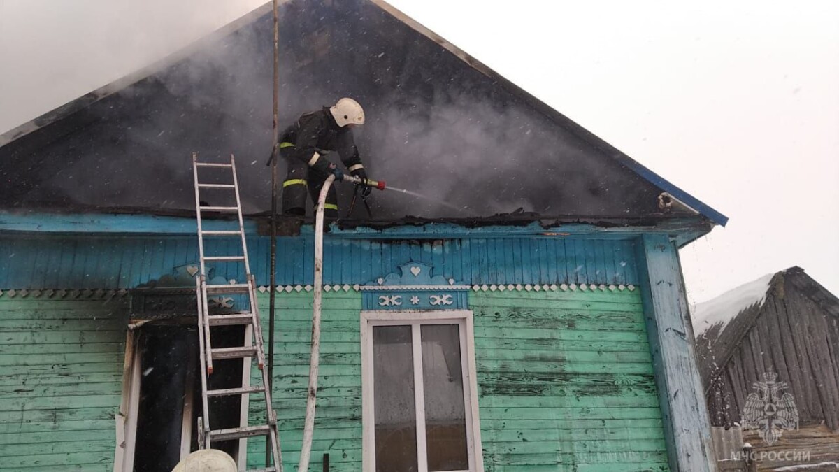 В Севском районе Брянской области при пожаре погибла женщина