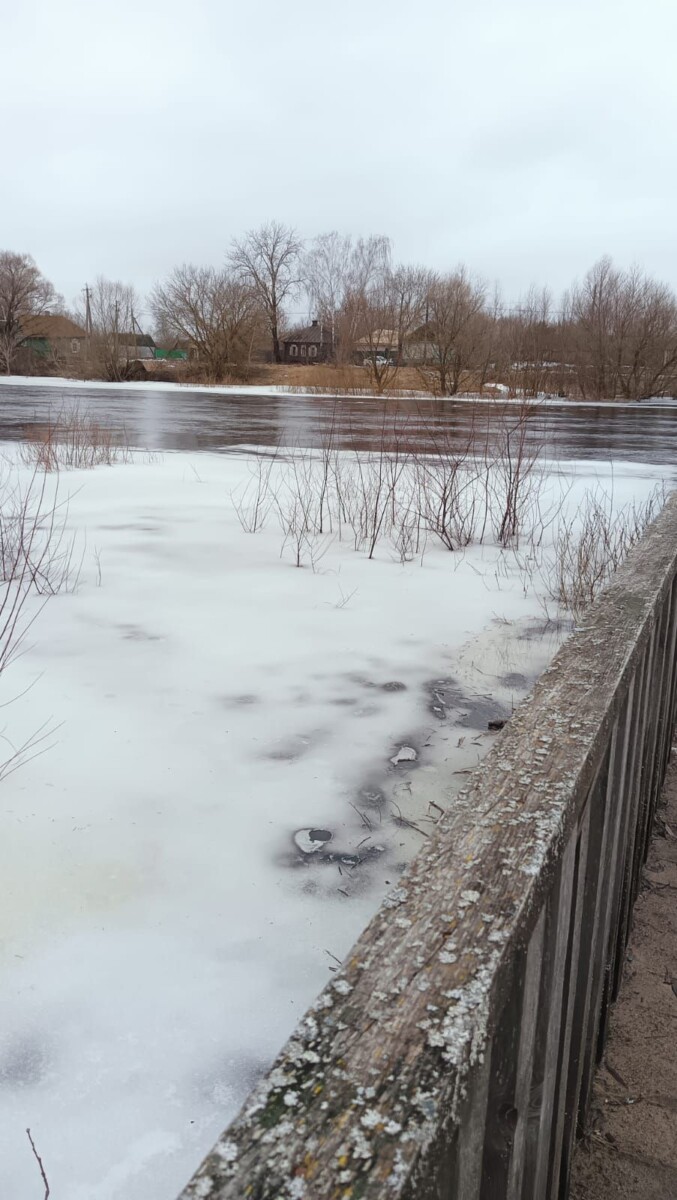 В Брянской области самый тонкий лед у Перевоза в Новозыбковском районе