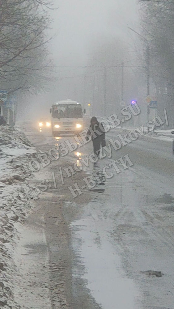 Рабочая неделя в Новозыбкове началась с оттепели