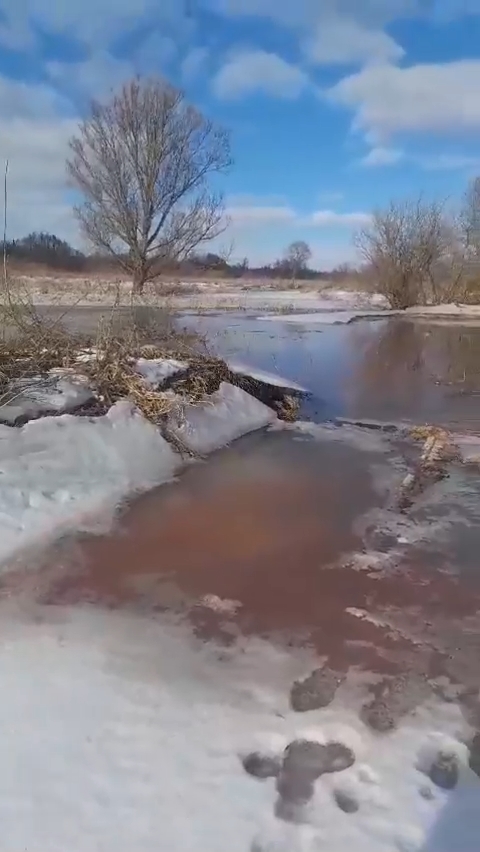 В обход очистных в реку в Брянской области течет «розовое море»