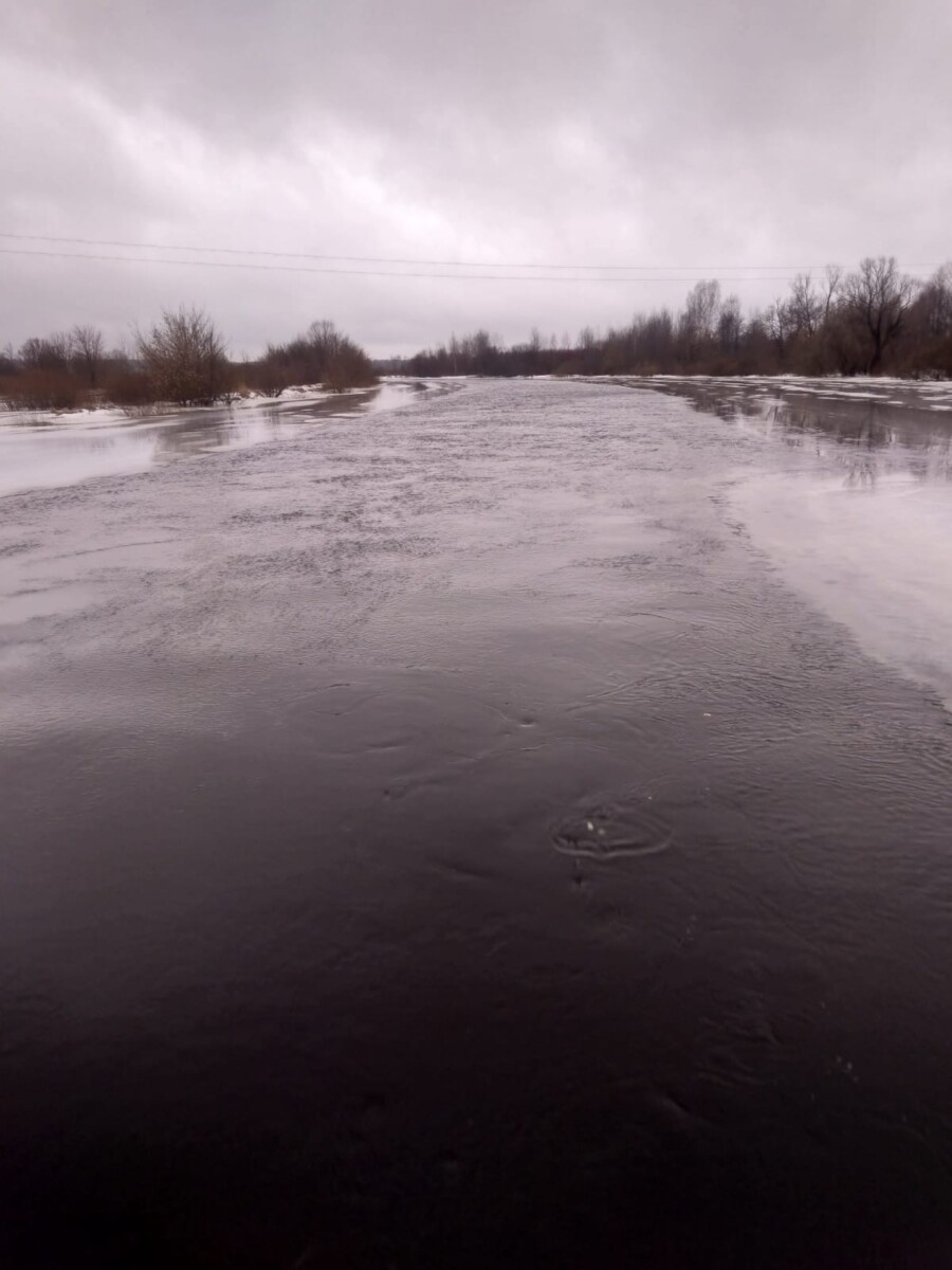 Вода отступила в Новозыбковском районе