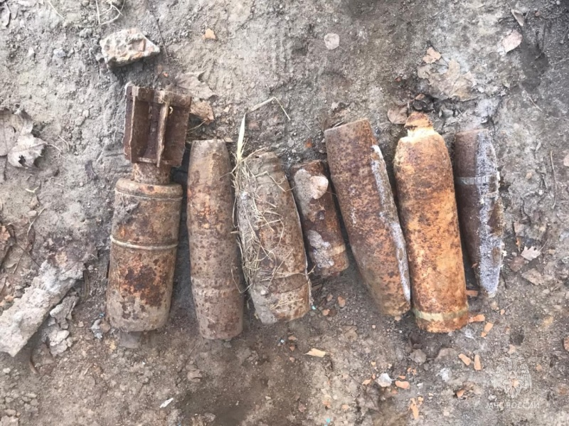 В лесу под Новозыбковом нашли авиационную бомбу