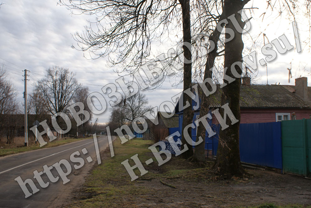 Жителям села в Новозыбковском районе только вечером смогли вернуть воду