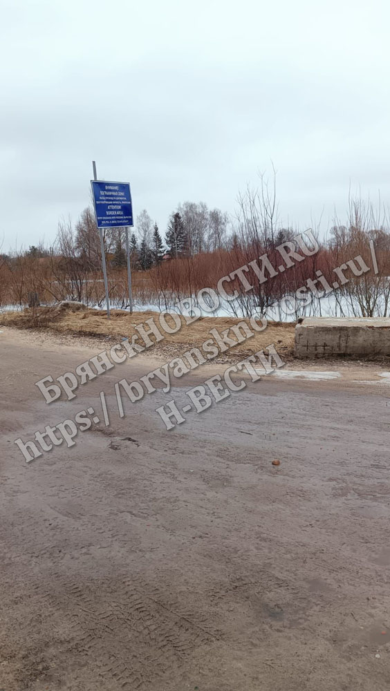 В Брянской области затоплен один участок дороги