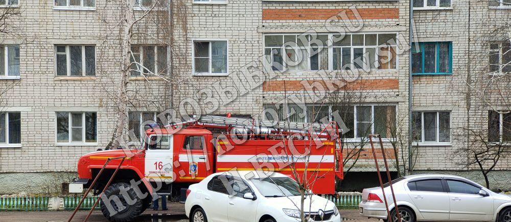 В Новозыбкове пожарные спасали людей