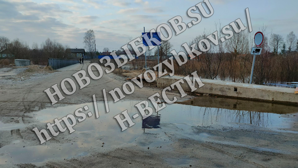 В Новозыбковском районе на реке Ипуть лёд тает постепенно