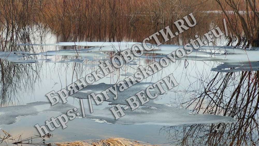 В Брянской области затоплены шесть придомовых территорий и два участка дорог