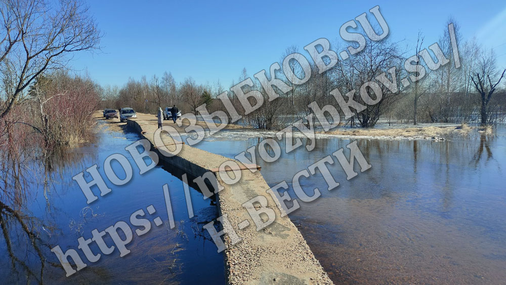 Мост в Перевозе Новозыбковского района еще не залит, но дорога уже под водой