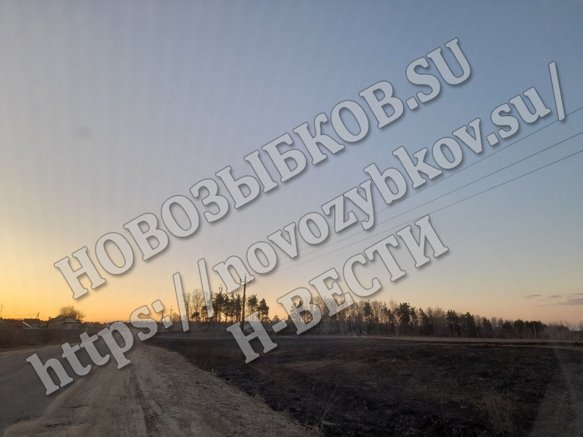 За два часа под Новозыбковом Брянской области выгорело поле