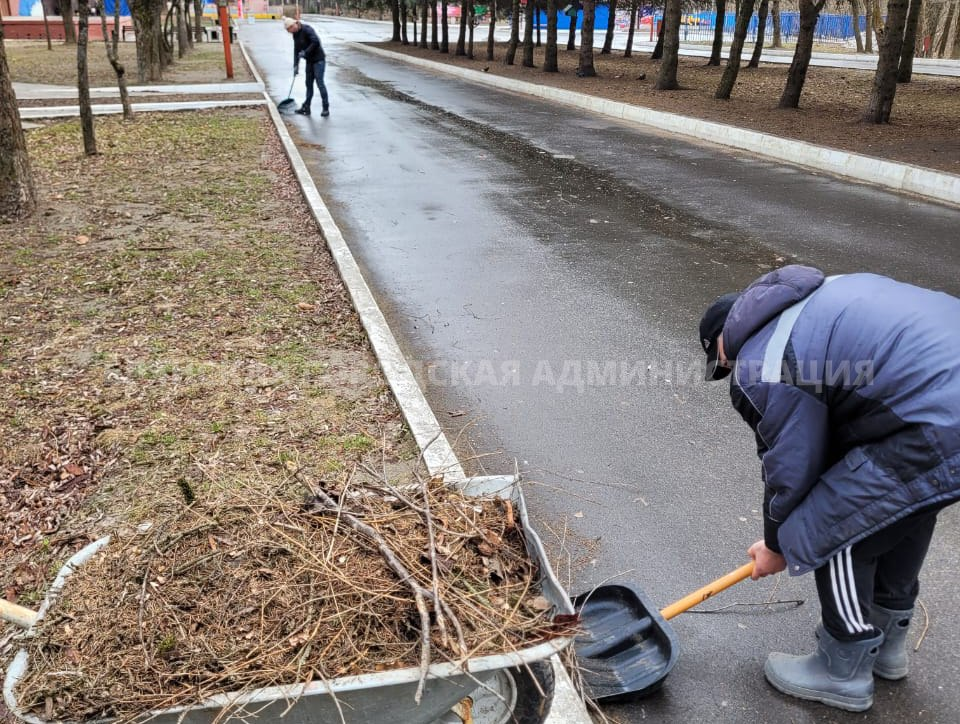 Все брянские парки будут обработаны от клещей до середины апреля