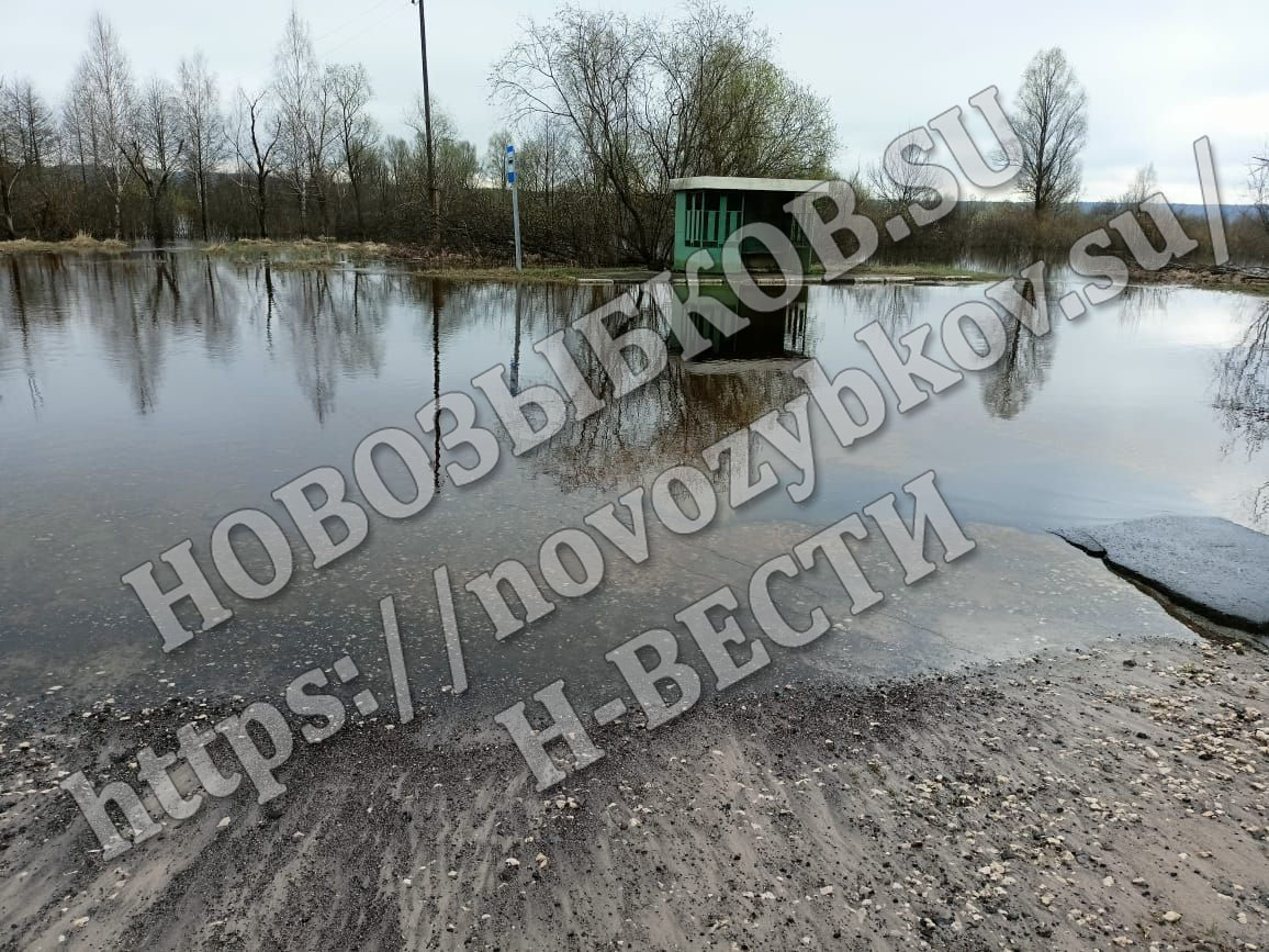 Река в Новозыбковском округе затопила остановку