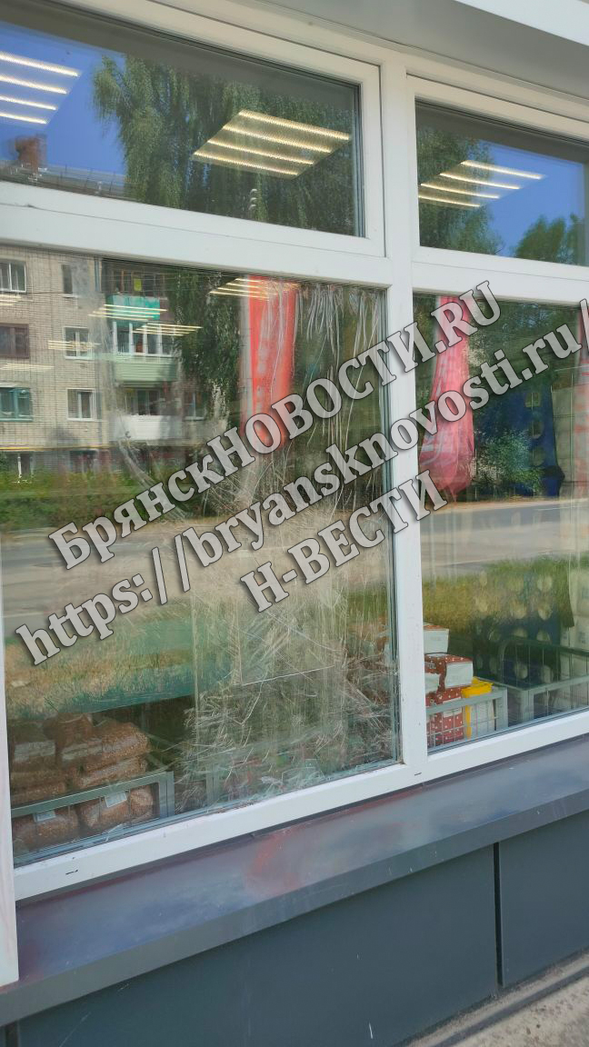 В Брянской области участились случаи краж из крупных сетевых магазинов