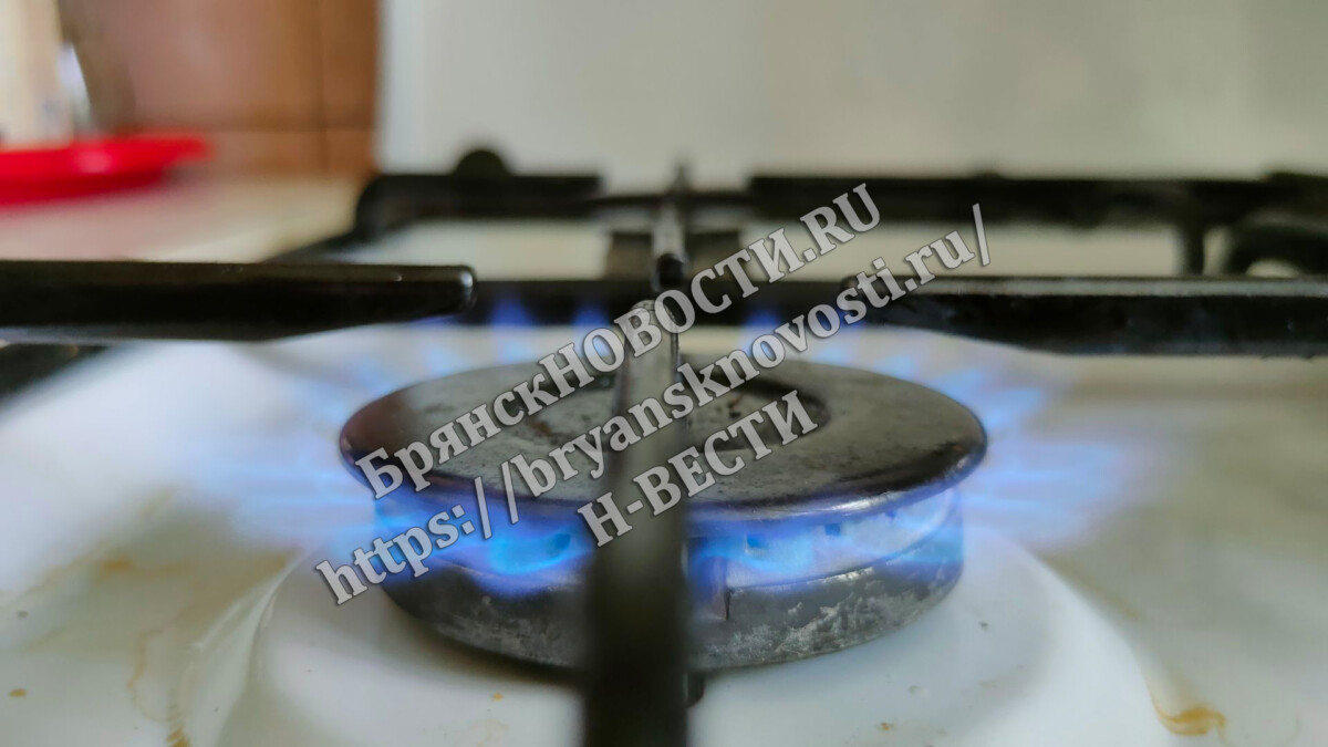 В Госдуме заявили, что тарифы на обслуживание газового оборудования должны быть обоснованными