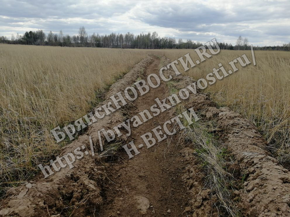 Власти заверяют, что горюче-смазочные материалы есть в полном объеме для проведения полевых работ в Брянской области