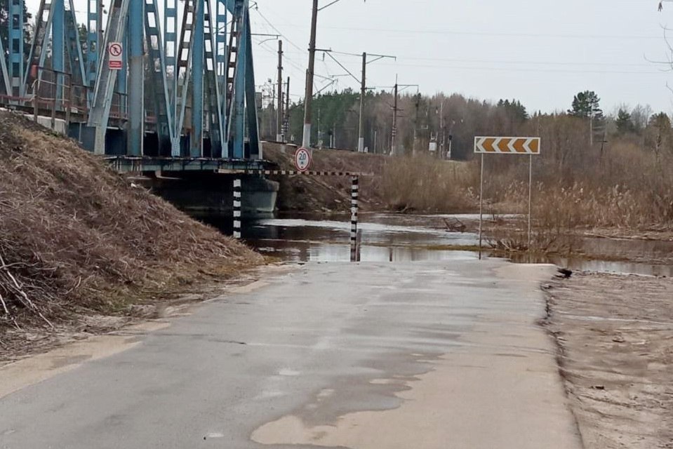 Дорогу на Ходаринку в Брянской области залили паводковые воды