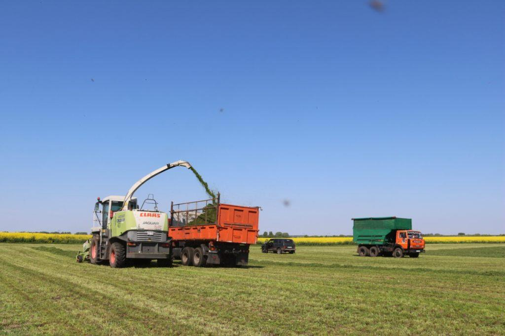 Сельхозтоваропроизводители в Брянском и Комаричском районах начали работы по заготовке кормов