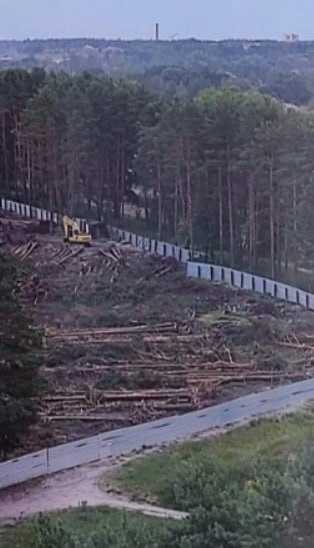 В связи с многочисленными обращениями о незаконной вырубке леса в Брянске расследуется уголовное дело