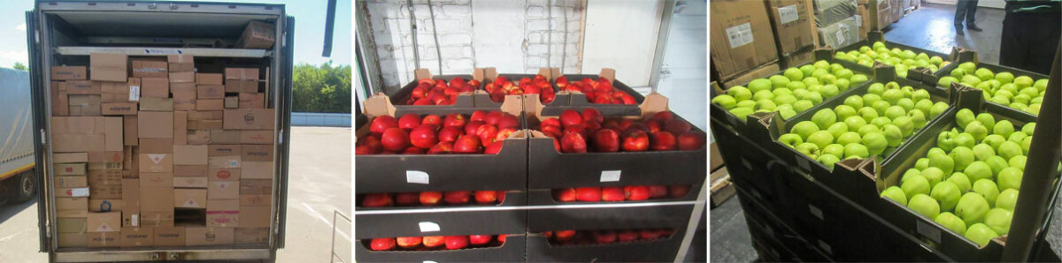 Брянские таможенники выявили 20 тонн яблок, перевозимых под видом зефира