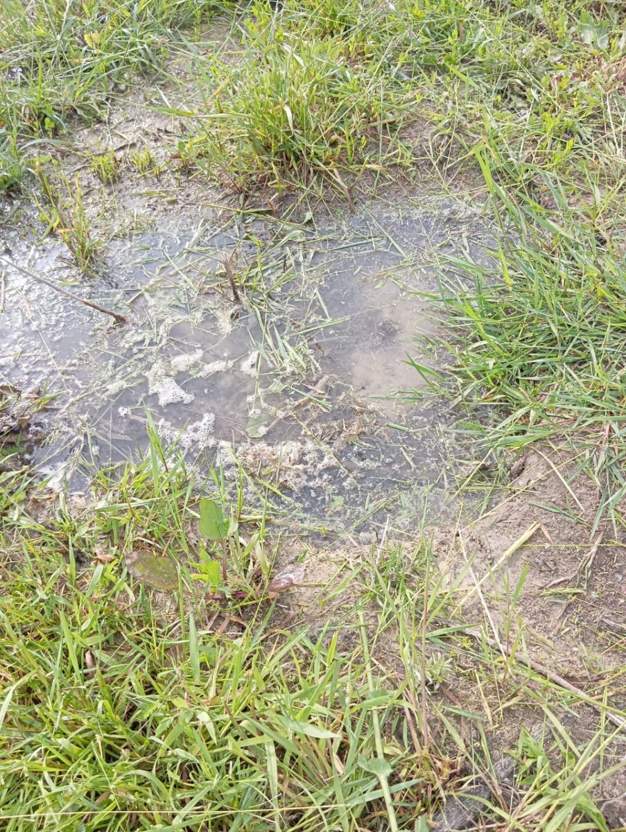 В селе Новозыбковского округа вода в местах порыва течет с марта