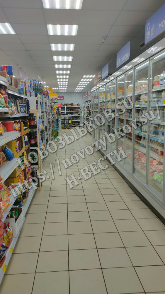 В Новозыбкове воровка вывезла на тележке из супермаркета продукты и бытовую химию