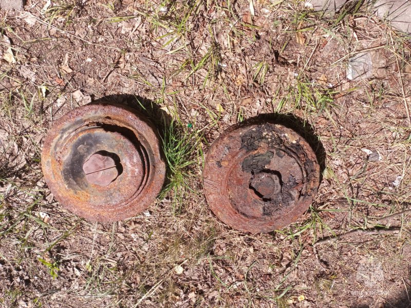 Две противотанковые мины времен Великой Отечественной войны нашли в лесу под Новозыбковом