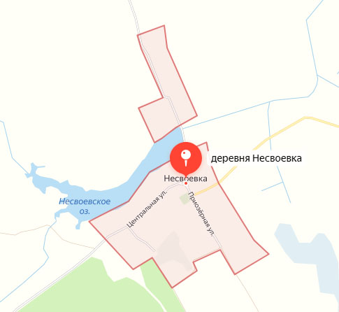 В Новозыбковском районе пропала женщина с ограниченными возможностями здоровья