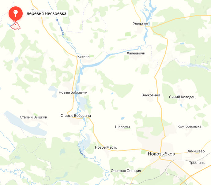 Пожарным удалось спасти жилой дом в деревне Новозыбковского округа