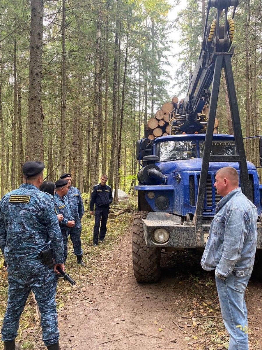 В Брянской области лесозаготавливающее предприятие задолжало за аренду