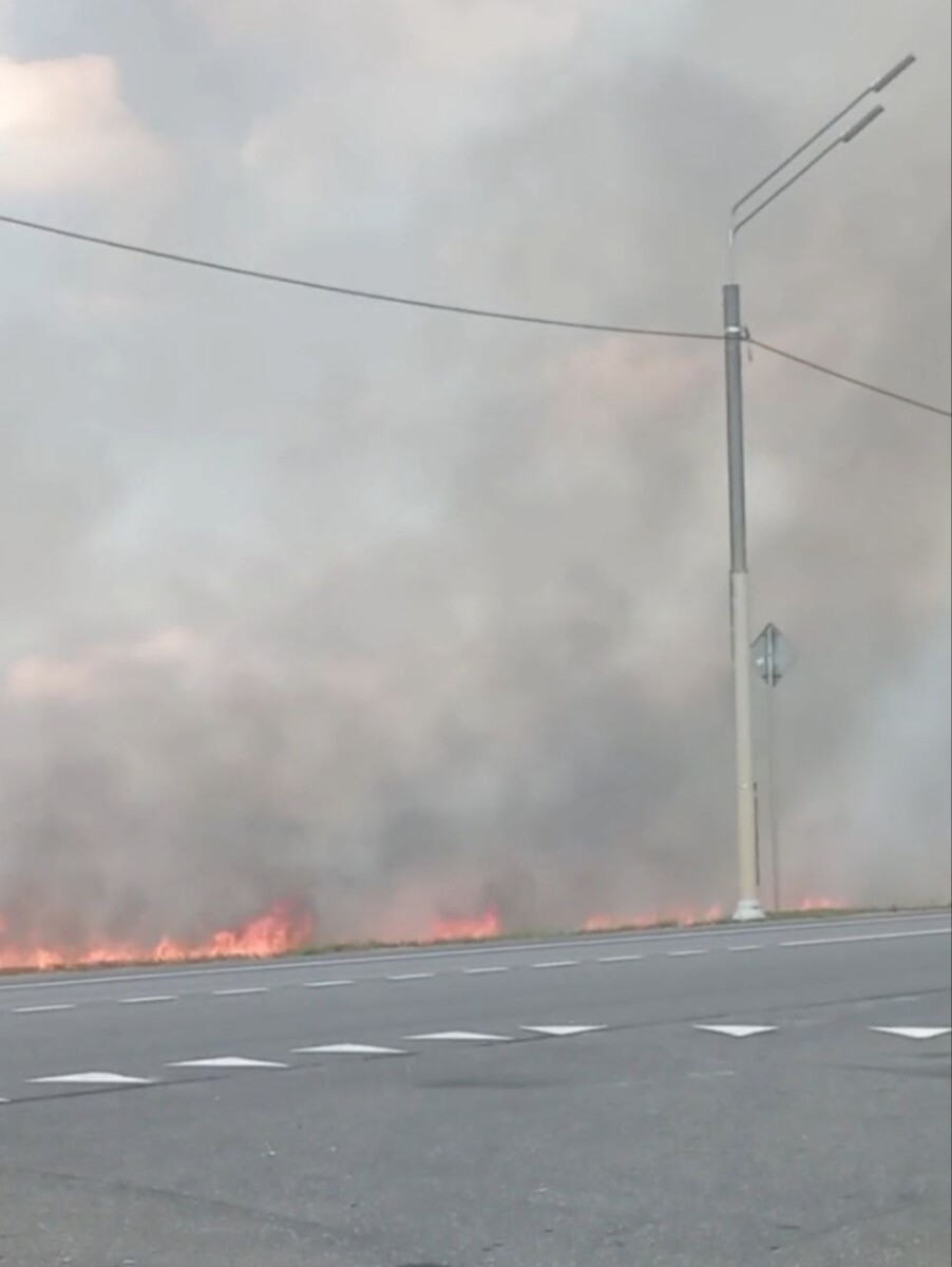 Трава горит в поле под Новозыбковом