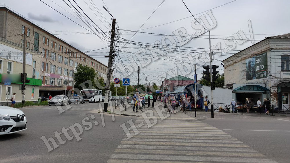 Треть закупленных для Брянской области автобусов направили на маршруты юго-запада региона