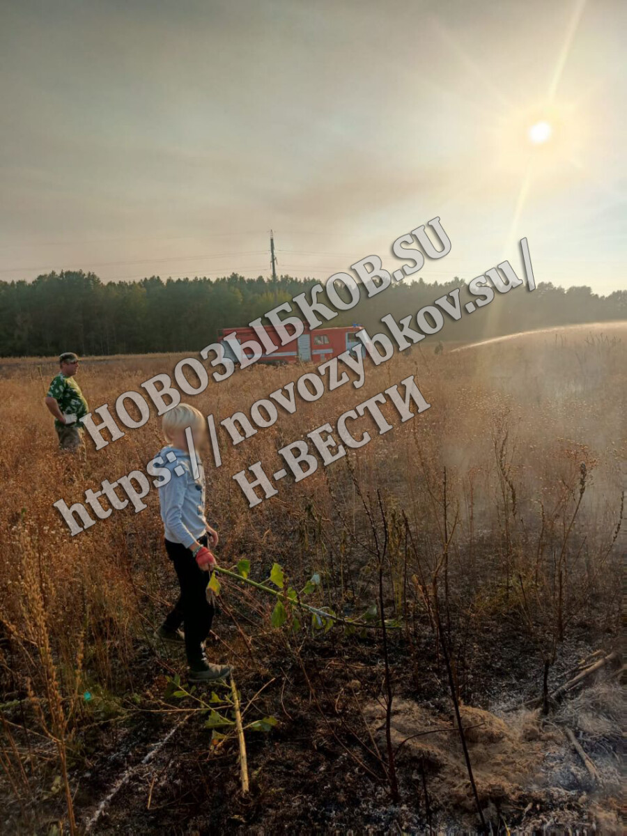 В Новозыбкове отстояли лес и жилье от надвигавшегося огня