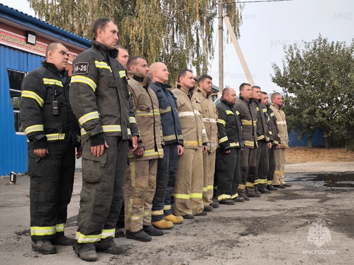 Торфяники в Погарском районе Брянской области горят больше недели