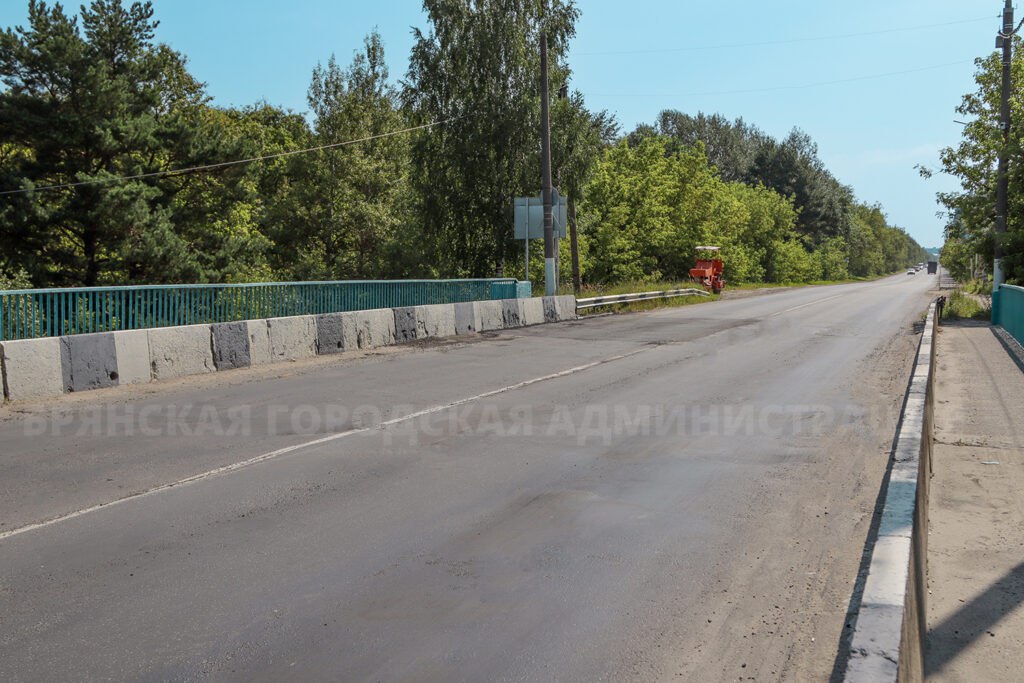 Мост, соединяющий Бурова и Речную в Бежице, обновят