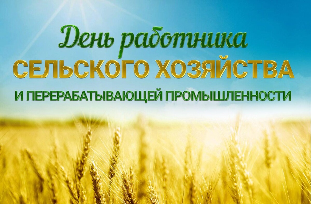 Каждый пятый килограмм картофеля в стране произвели аграрии Брянской области