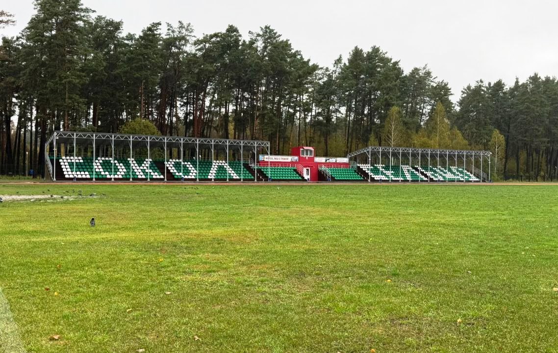 В городе Сельцо Брянской области футбольные болельщики попали под уголовную статью за хулиганство 