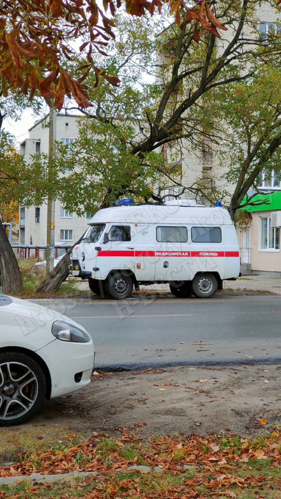 Драки у кафе и в подъезде произошли в Новозыбкове