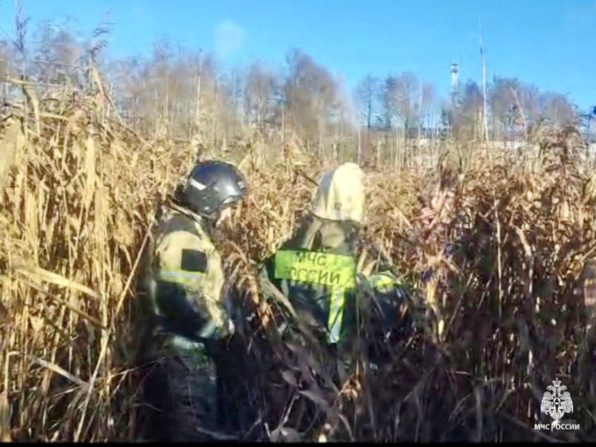 Из болота в Брянской области спасли женщину