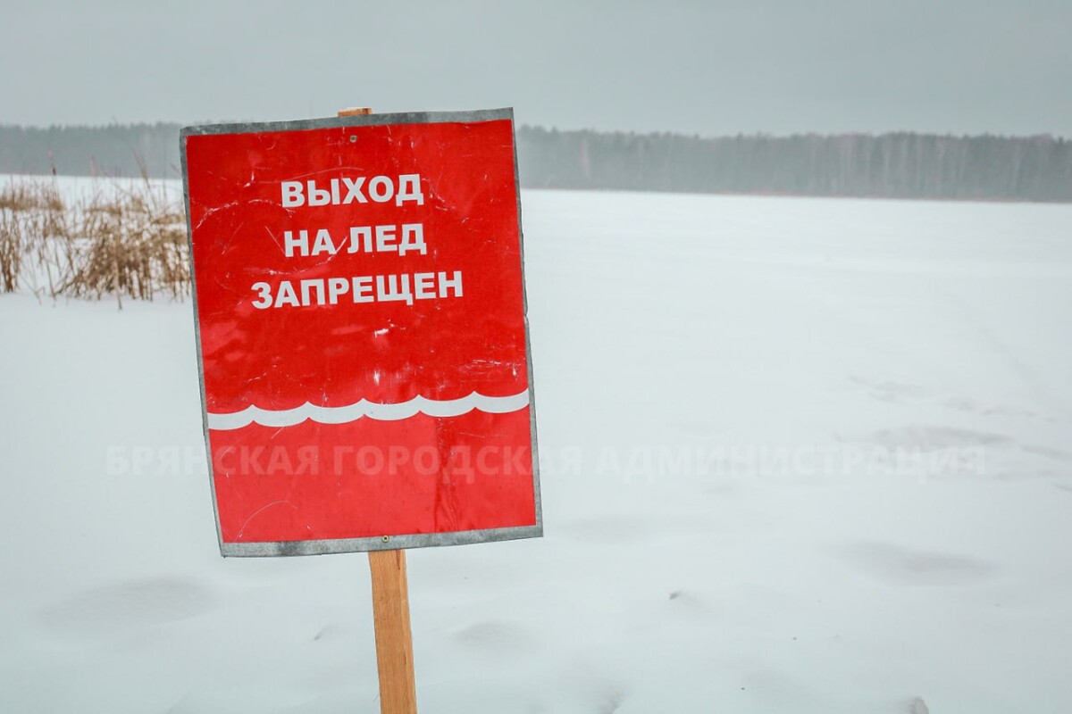 Более 60 предупреждающих и запрещающих знаков установят на водоемах Брянска